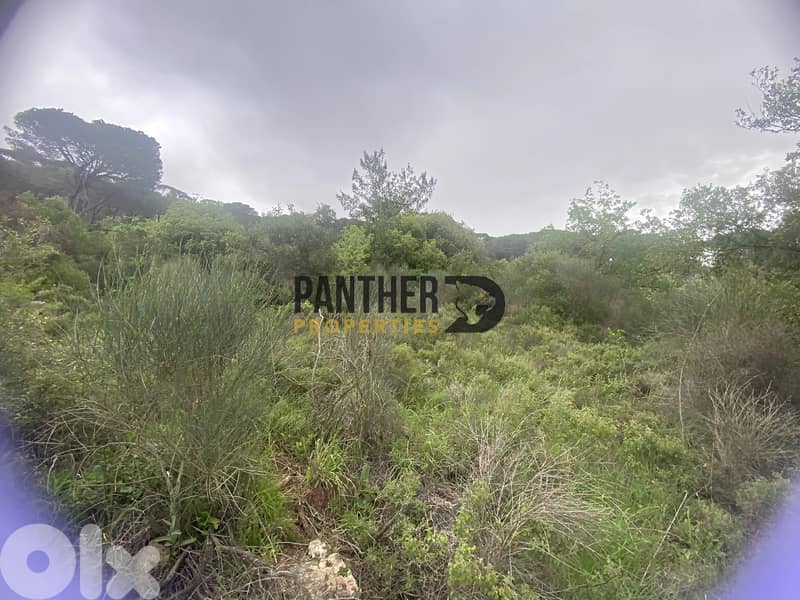 Prime Land for Sale in Aarabaniyeh - natural water spring Ref#BK133 4