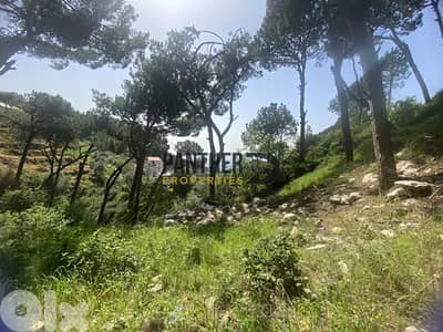 Land for Sale in Ain Saadeh Sea View Ref#BK136أ رض عين سعادة