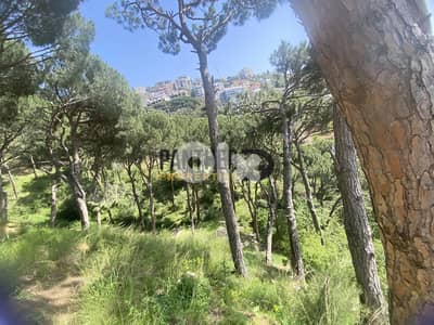 Land for Sale in Ain Saadeh Sea View Ref#BK136أ رض عين سعادة