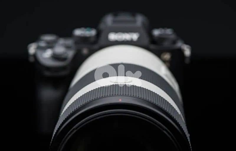 Sony FE 100-400mm f/4.5-5.6 GM OSS Lens 2