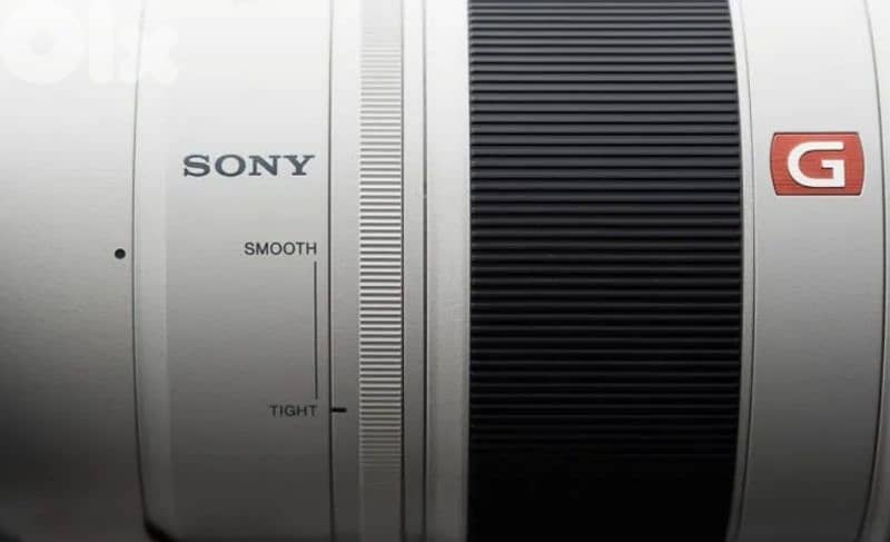 Sony FE 100-400mm f/4.5-5.6 GM OSS Lens 6