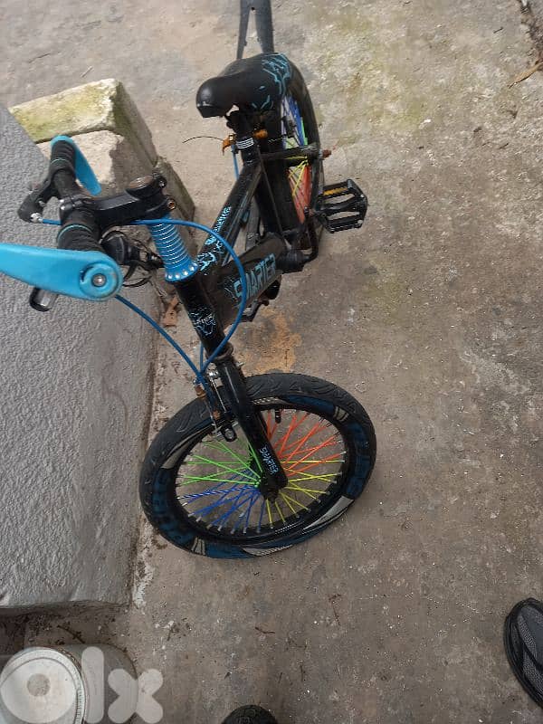 samrt bicycles 1
