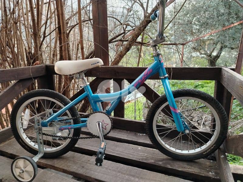bicyles 12/16/20 2