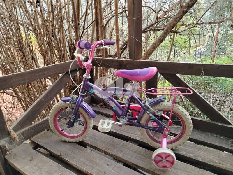 bicyles 12/16/20 4