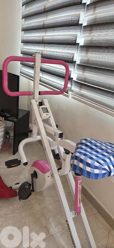 2 in 1 cardio bicycle and rowing machine 1