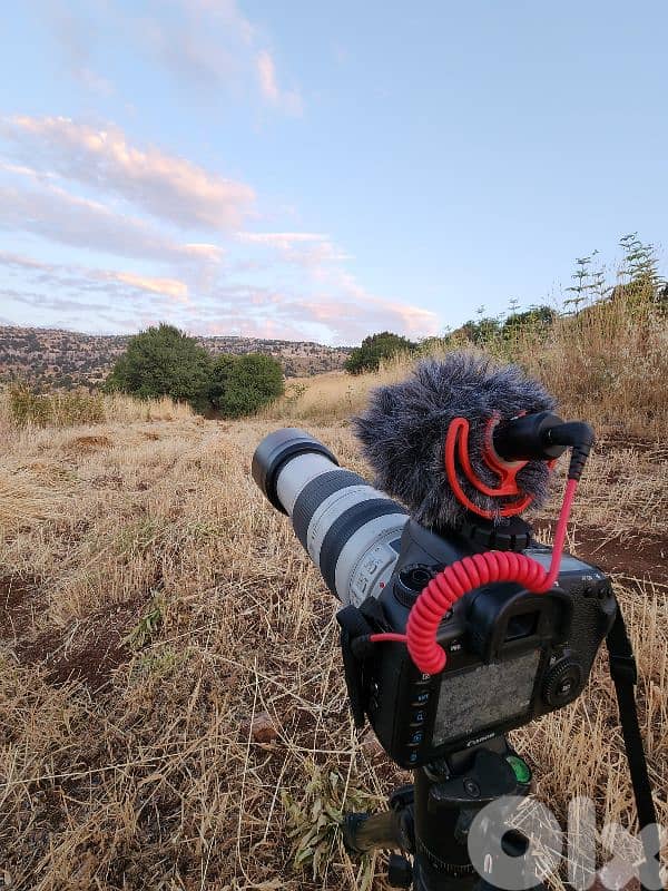 canon 7d mark 2 + lens 100-400mm 0