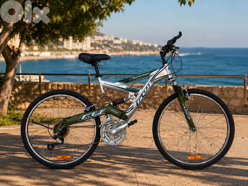 EXCELLENT MOUNTAIN BIKE 0