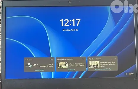 Lenovo ThinkPad L14