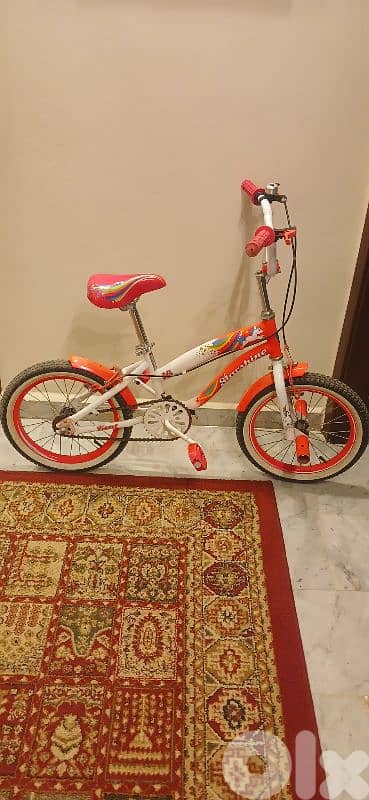 Bicycle Bike 0