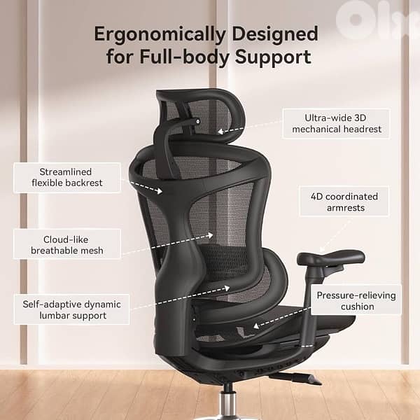 SIHOO Doro C300 Ergonomic Office Chair with Ultra Soft 3D 0