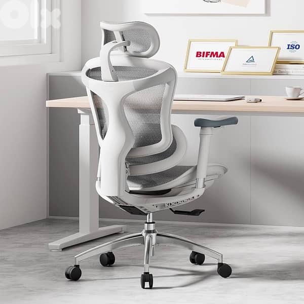 SIHOO Doro C300 Ergonomic Office Chair with Ultra Soft 3D 1