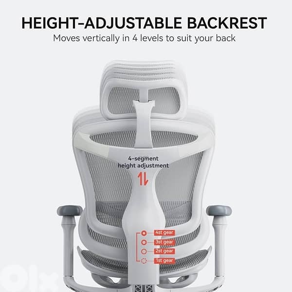 SIHOO Doro C300 Ergonomic Office Chair with Ultra Soft 3D 2
