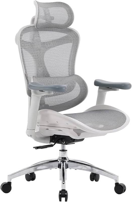 SIHOO Doro C300 Ergonomic Office Chair with Ultra Soft 3D 3