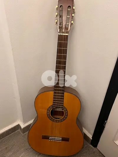 Guitar