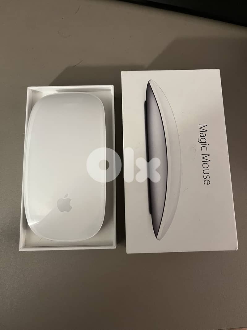 Apple Magic Mouse 2 0