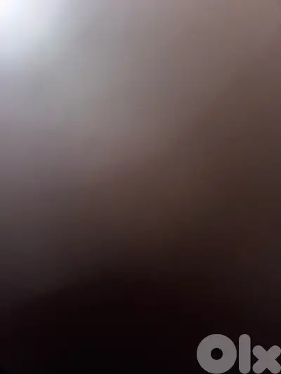 71339922