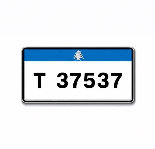 Car Plate Number 0