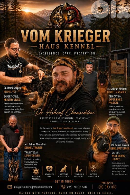 Champion Bloodline German Shepherds 6