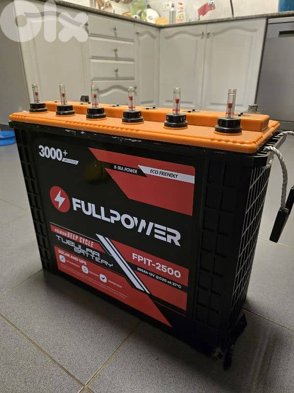 APS Inverter with 2 x 250Ah batteries 5