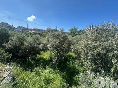 Land for Sale in Jeddayel 580m² ONLY for 175K في جدايل