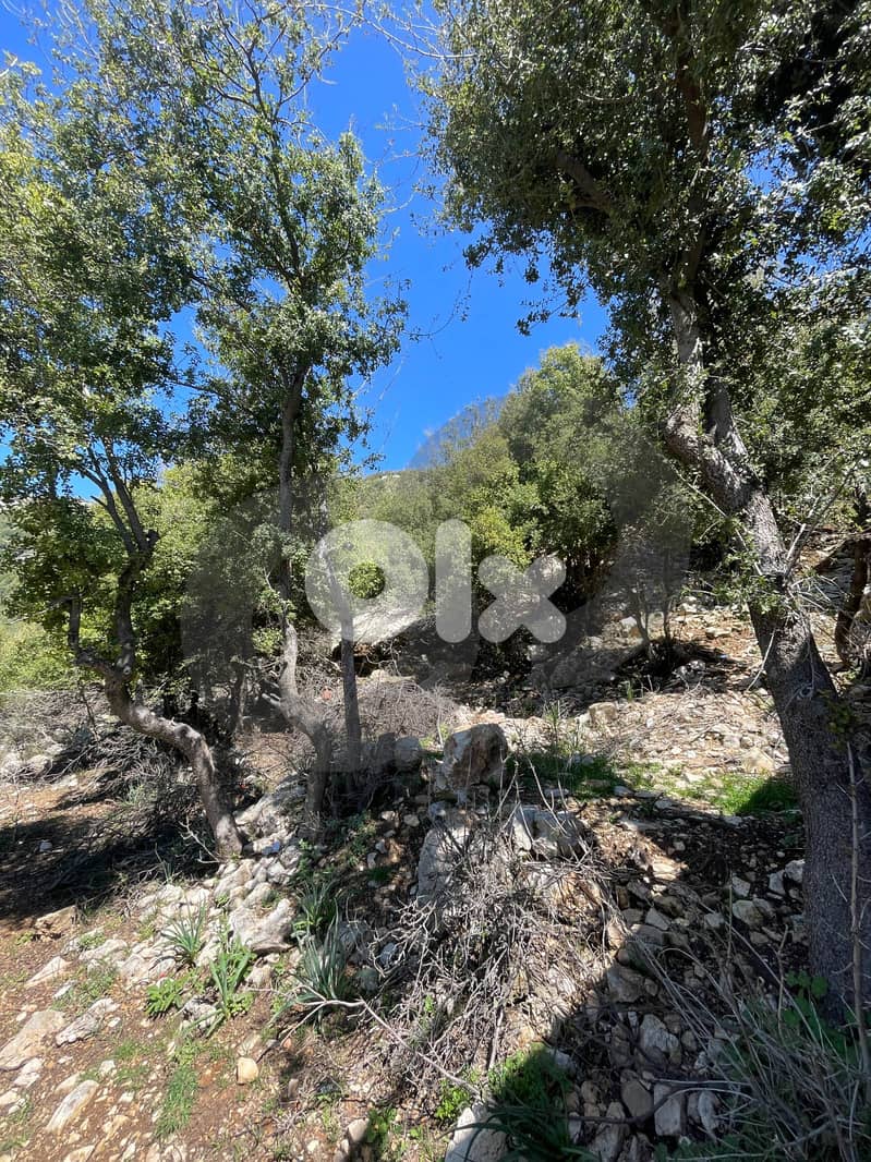 sea, mountain view, directly on the road, Ehmej/إهمج REF#NI135497 2