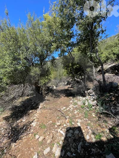 sea, mountain view, directly on the road, Ehmej/إهمج REF#NI135497