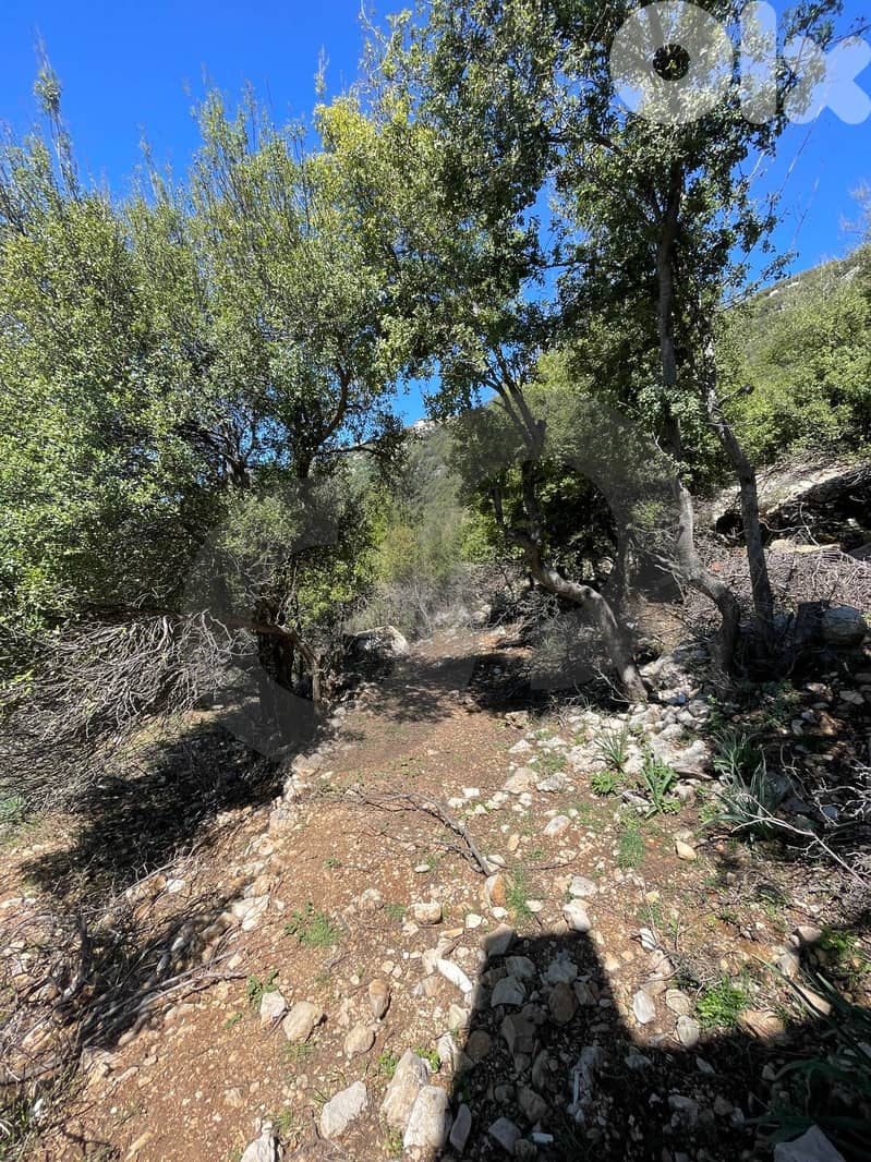 sea, mountain view, directly on the road, Ehmej/إهمج REF#NI135497 4