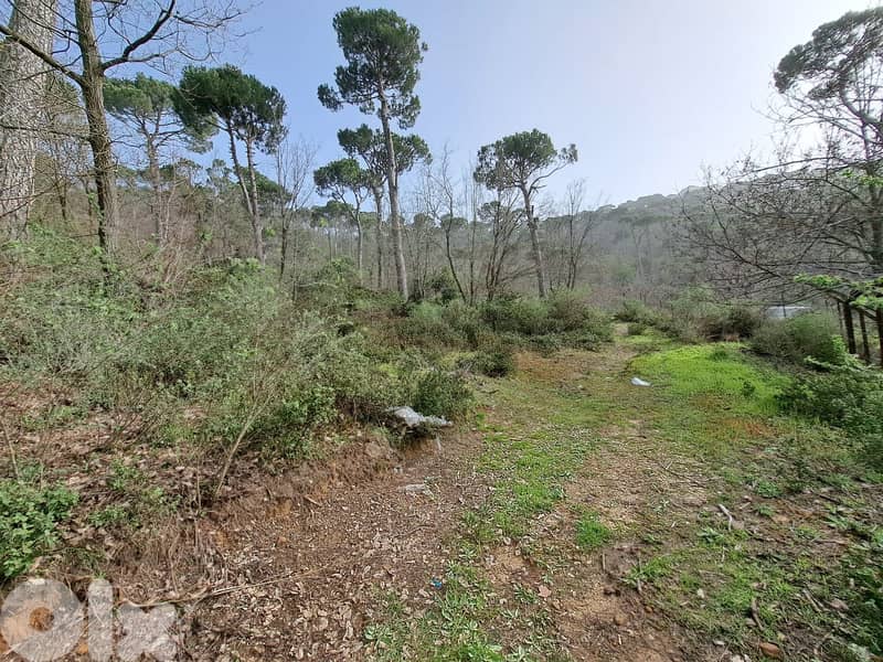 perfect 2500 sqm land for sale in Bekfaya 0