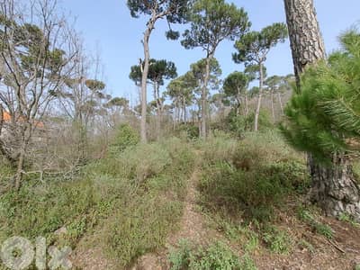 perfect 2500 sqm land for sale in Bekfaya