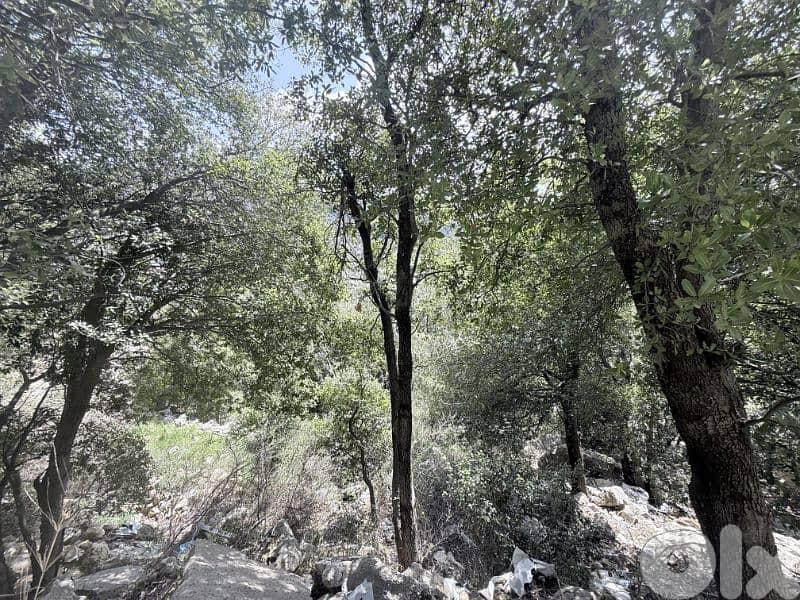 RWB218EG - Land for sale in Aannaya Jbeil 0