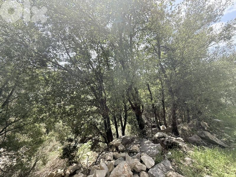 RWB218EG - Land for sale in Aannaya Jbeil 2