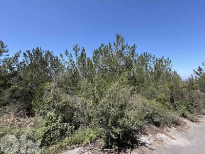 Land For  Sale In Halate | Panoramic Sea View | أرض للبيع | PLS 26511
