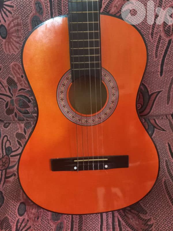 hoffman guitar 0