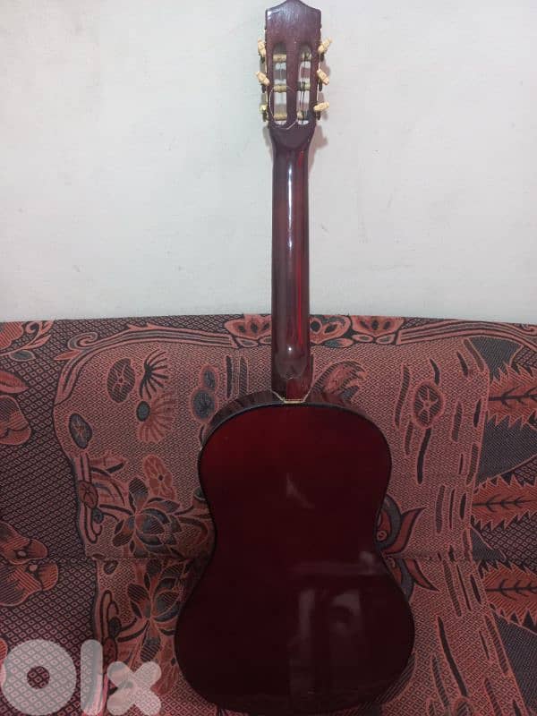 hoffman guitar 2