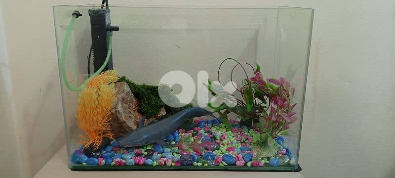 Fish aquarium 25 Liter 0