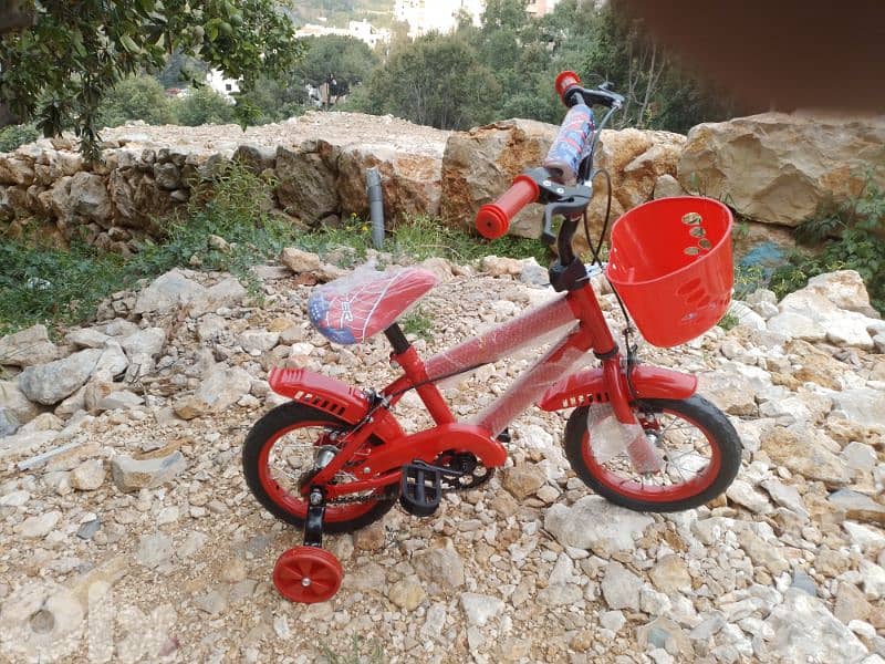 12 inch bicycle 0
