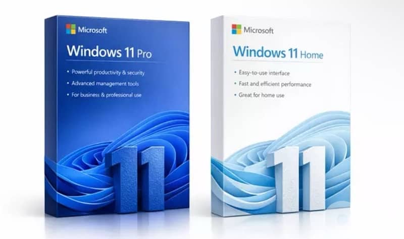 original lifetime Microsoft window 11 pro 0