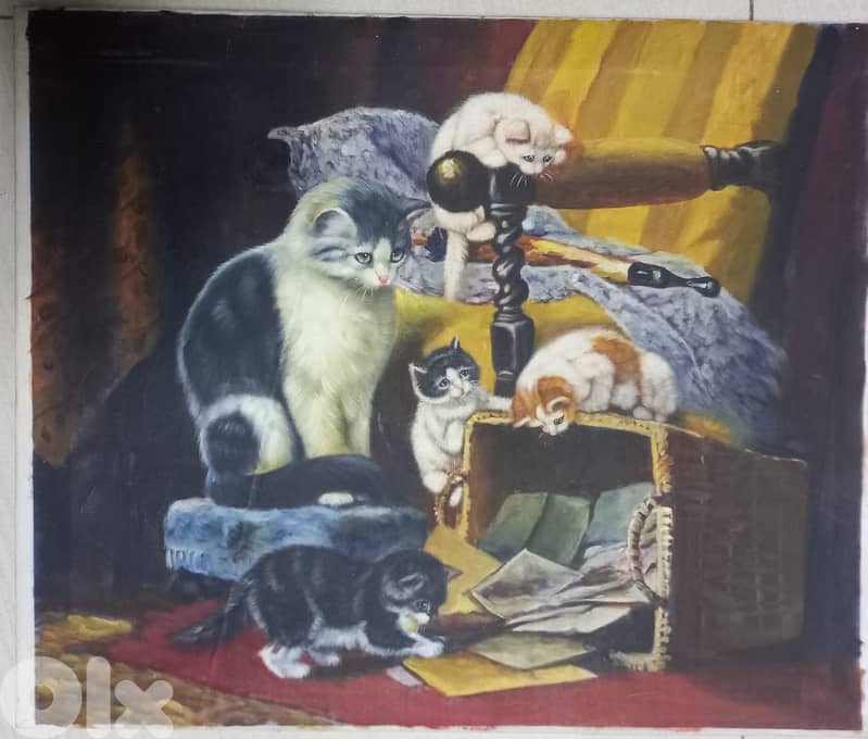 cats print on canvas 50*60 cm 0