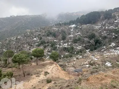 Land for Sale in Bcharre District أرض للبيع في عين مندر بشري