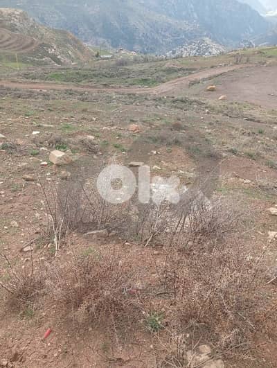 Mountain view, Great deal, calm area, Tannourine/تنورين REF#NI135574