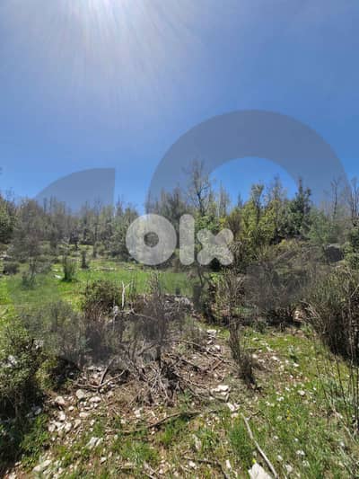 LAND/أرض /Mechmech/مشمش /Zoning 25/50/ REF#RG135586 !