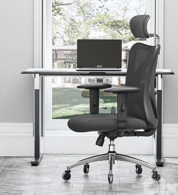 Sihoo M18 Ergonomic Office Chair with Soft Cushion & Spine Support 0