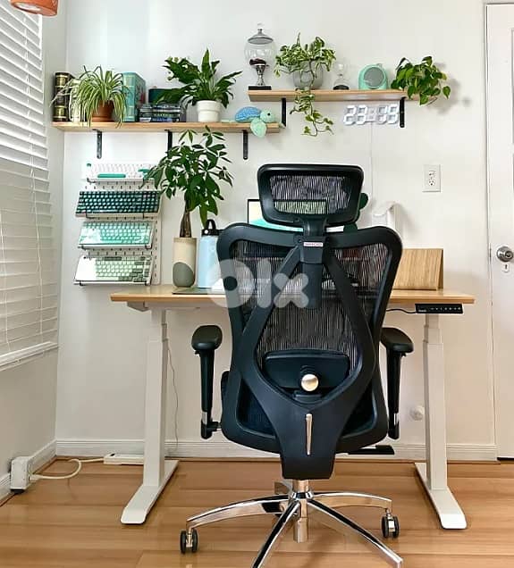 Sihoo M57 Ergonomic Office Chair with Breathable Mesh Cushion 0