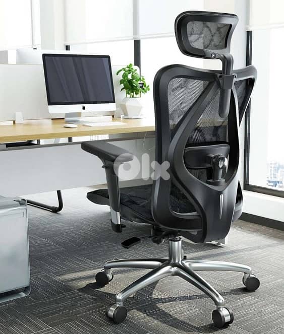 Sihoo M57 Ergonomic Office Chair with Breathable Mesh Cushion 1