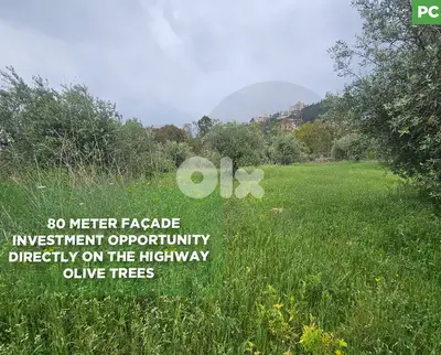 Directly on the Highway ,80 meter façade,Zgharta /زغرتا  REF#PC135599