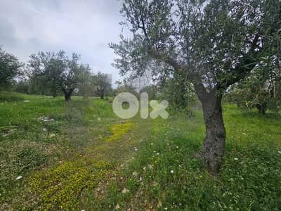 Directly on the Highway ,80 meter façade,Zgharta /زغرتا  REF#PC135599