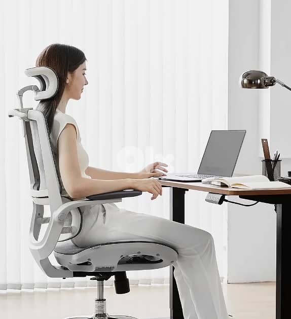 Sihoo M59AS Space-Saving Ergonomic Office Chair with Flip-Up Arms 0