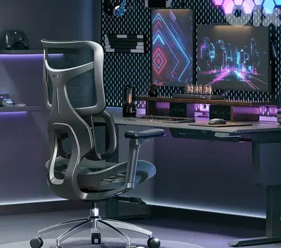 Sihoo Doro S100 Ergonomic Office Chair With Dual Dynamic Lumbar Suppor