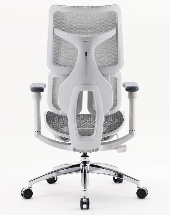 Sihoo Doro S100 Ergonomic Office Chair With Dual Dynamic Lumbar Suppor 3