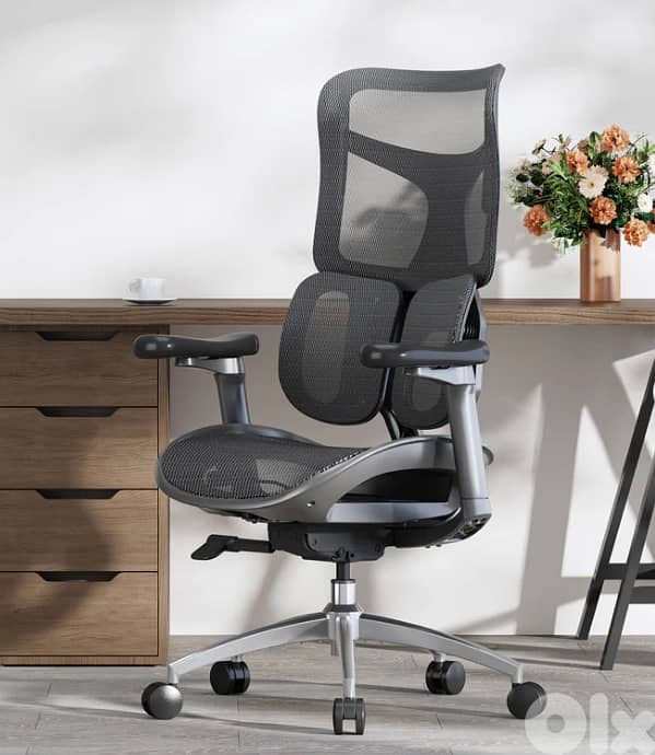 Sihoo Doro S100 Ergonomic Office Chair With Dual Dynamic Lumbar Suppor 5